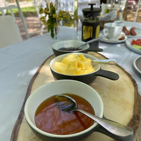 Bed and Breakfast Rilindja